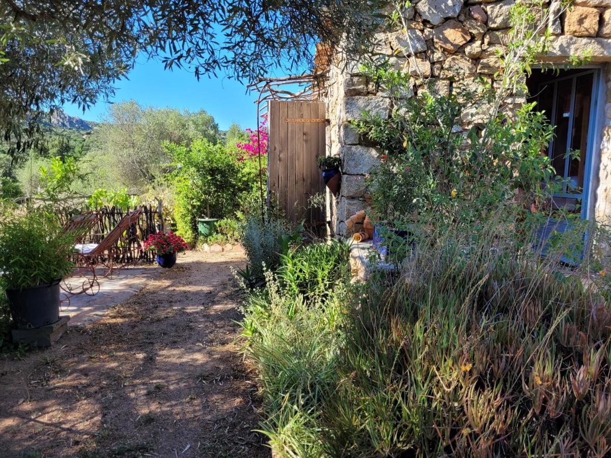 Stazzu La Capretta Farm Camping & Guest Rooms Olbia Exteriör bild