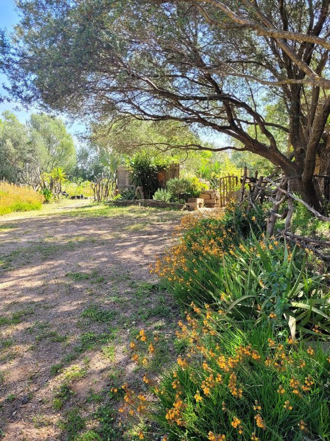 Stazzu La Capretta Farm Camping & Guest Rooms Olbia Exteriör bild